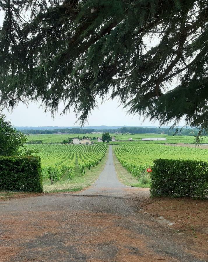 A L'Ombre De La Treille -Proche Saint-Emilion Bed & Breakfast ภายนอก รูปภาพ